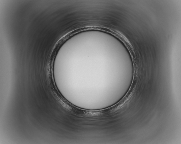 X0000116440831200912081351
