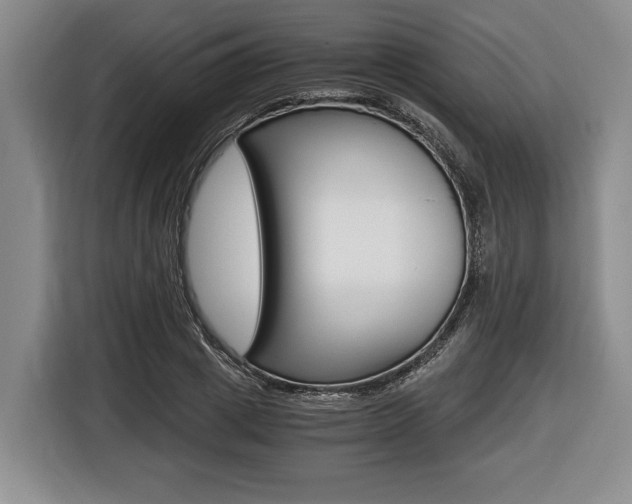 X0000116440833200912081351