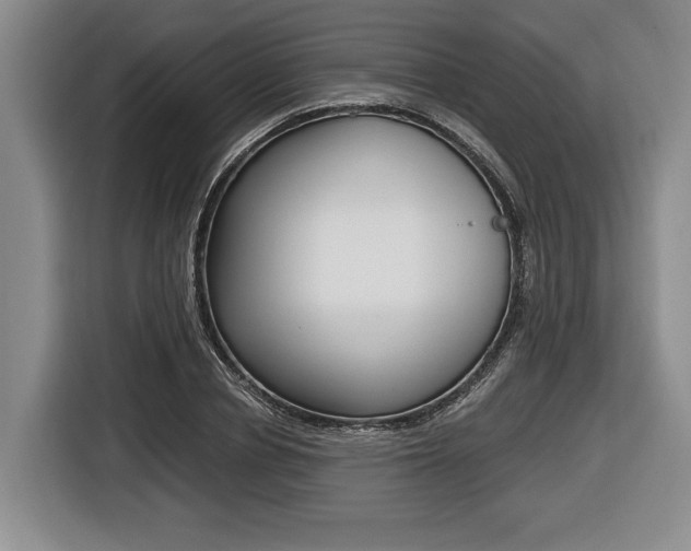 X0000116440834200912081351