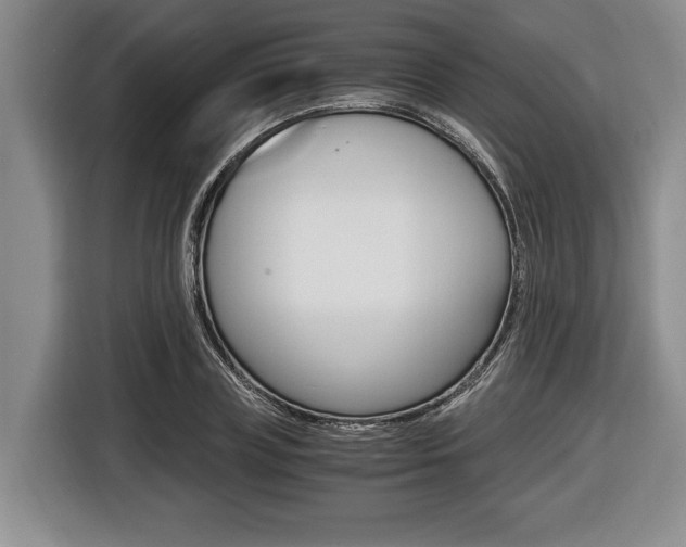 X0000116440835200912081351