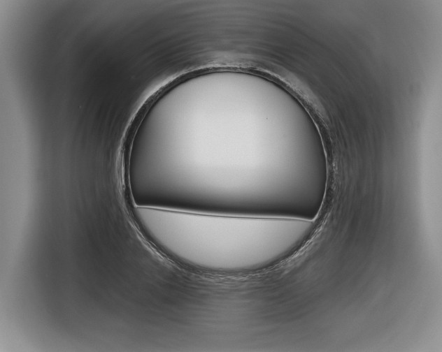 X0000116440838200912081351