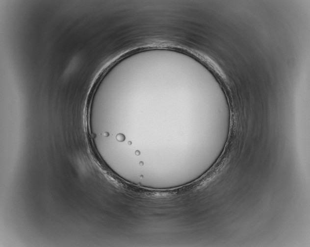 X0000116440839200912081351