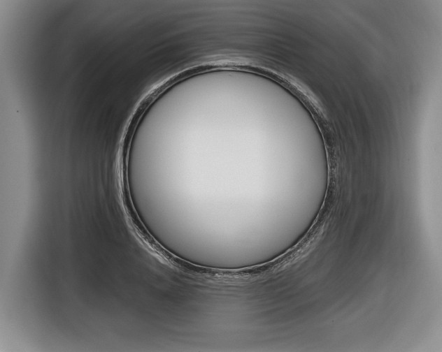 X0000116440840200912081351