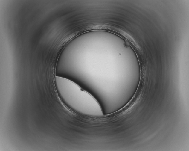 X0000116440841200912081351