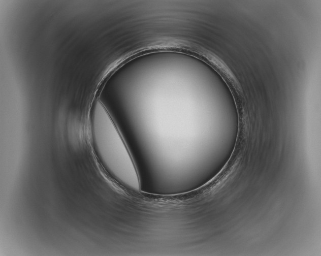 X0000116440842200912081351