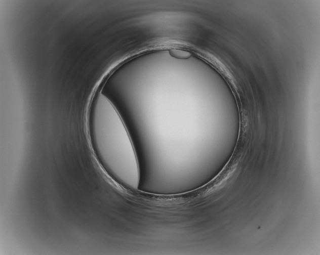 X0000116440843200912081351
