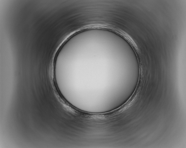X0000116440844200912081351
