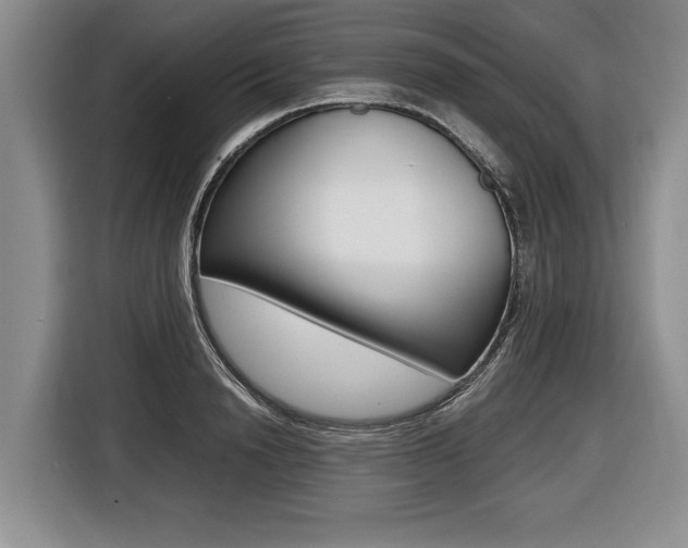 X0000116440846200912081351