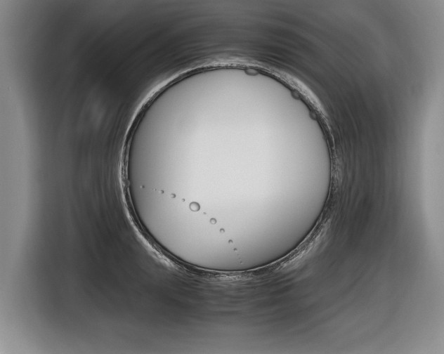 X0000116440847200912081351