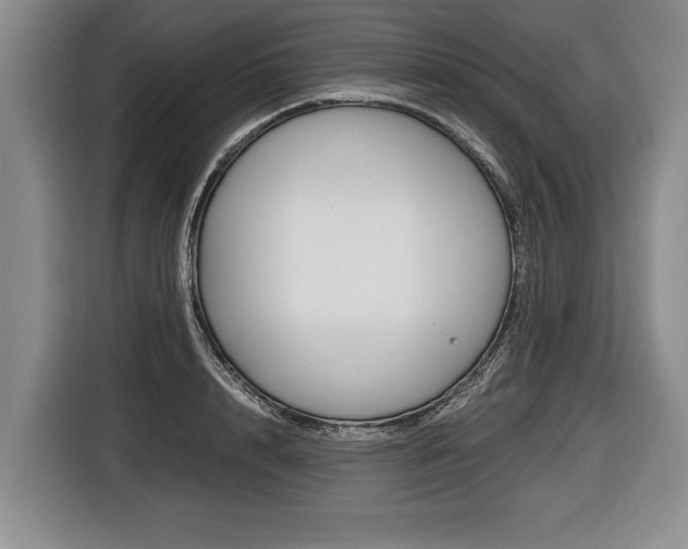 X0000116440848200912081351
