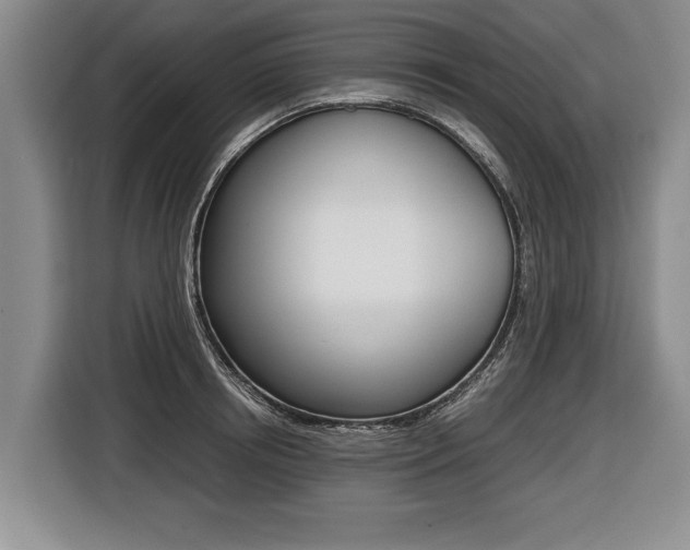 X0000116440850200912081351