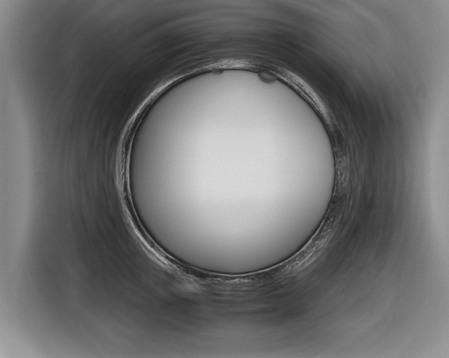 X0000116440851200912081351