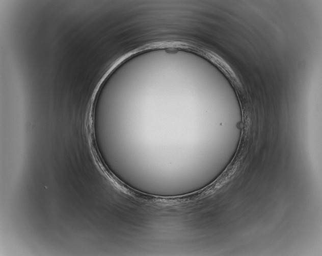 X0000116440852200912081351