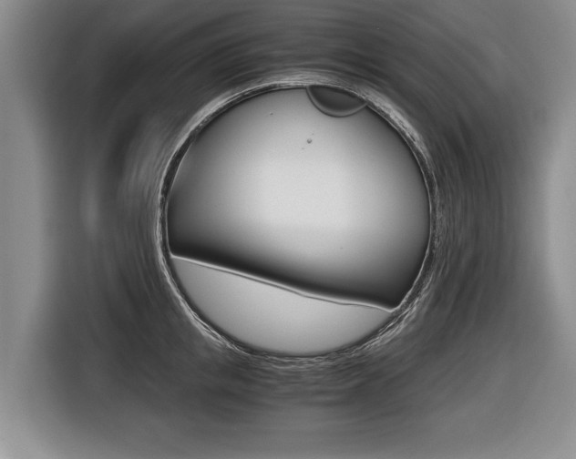X0000116440853200912081351