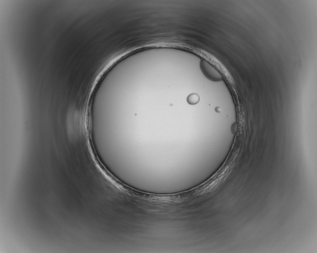 X0000116440855200912081351