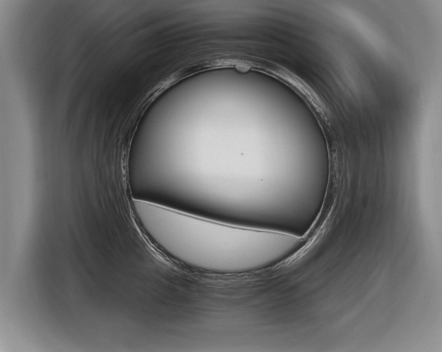 X0000116440857200912081351