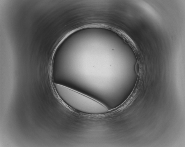 X0000116440860200912081351