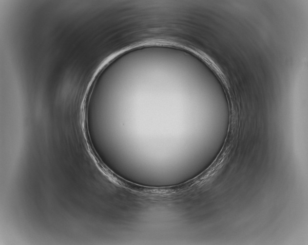 X0000116440862200912081351
