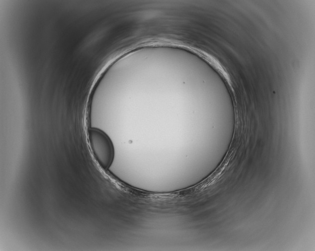 X0000116440863200912081351