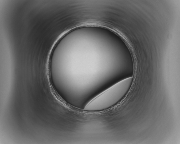 X0000116440864200912081351
