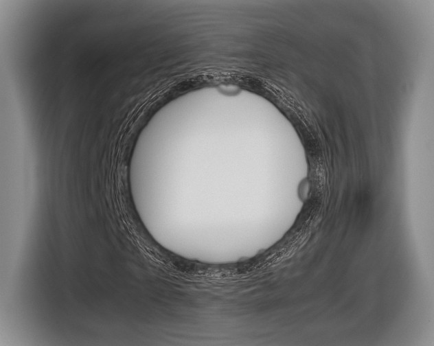 X0000116440865200912081351