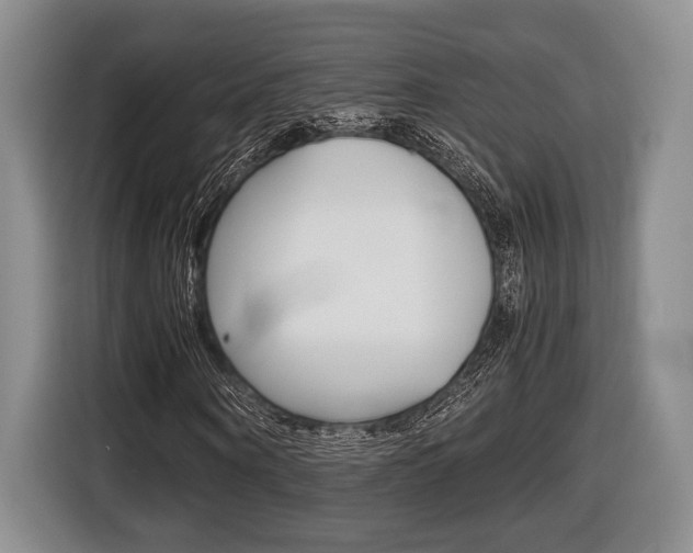 X0000116440866200912081351