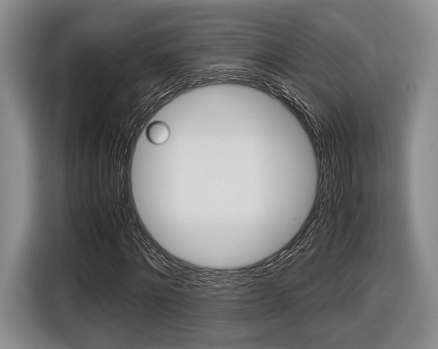 X0000116440868200912081351