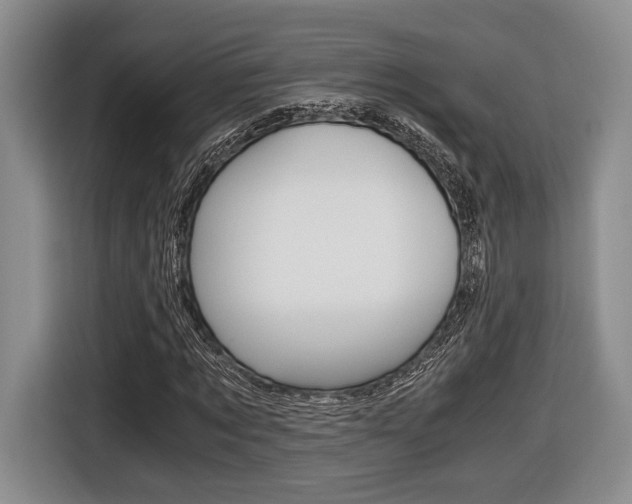 X0000116440869200912081351