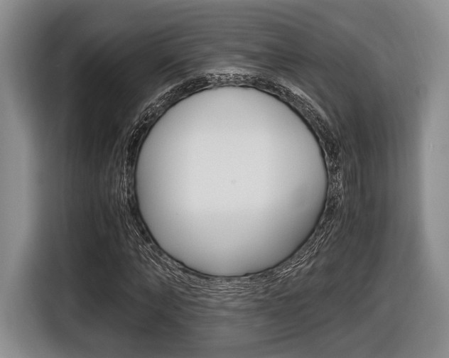 X0000116440870200912081351