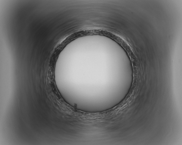 X0000116440871200912081351