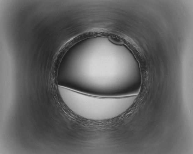 X0000116440872200912081351