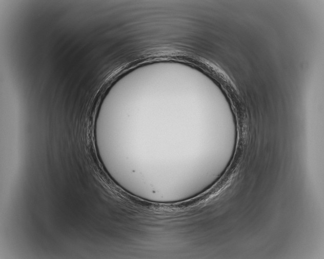 X0000116440873200912081351