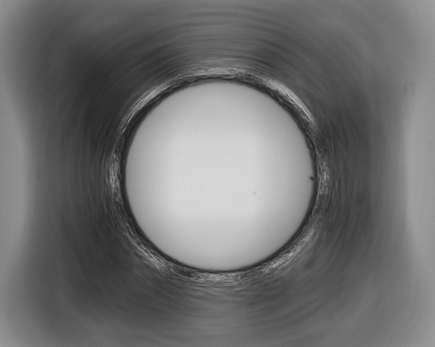 X0000116440874200912081351
