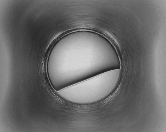X0000116440875200912081351