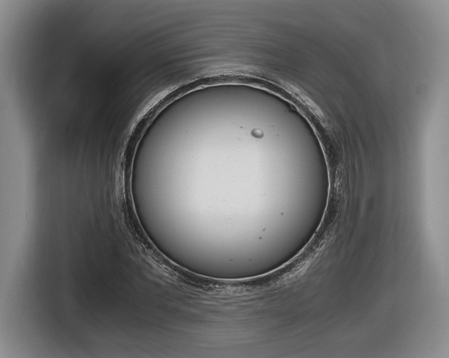 X0000116440877200912081351