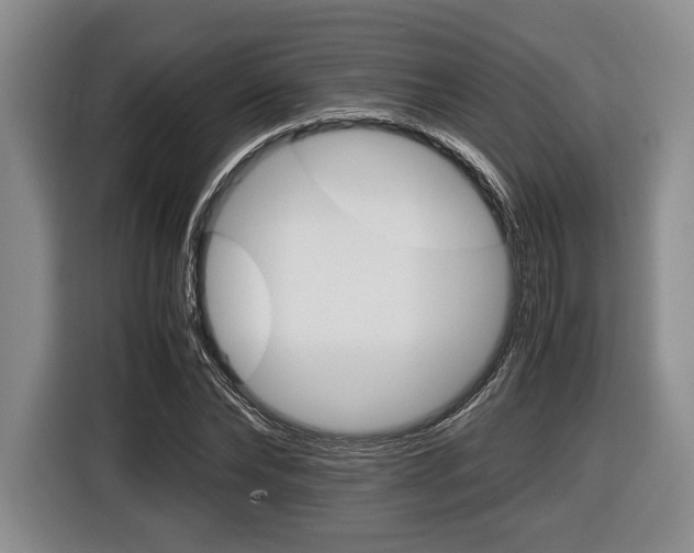 X0000116440878200912081351
