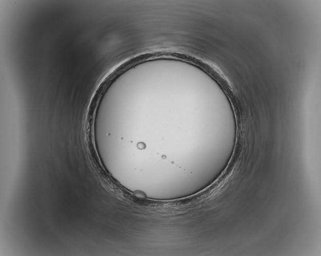 X0000116440879200912081350