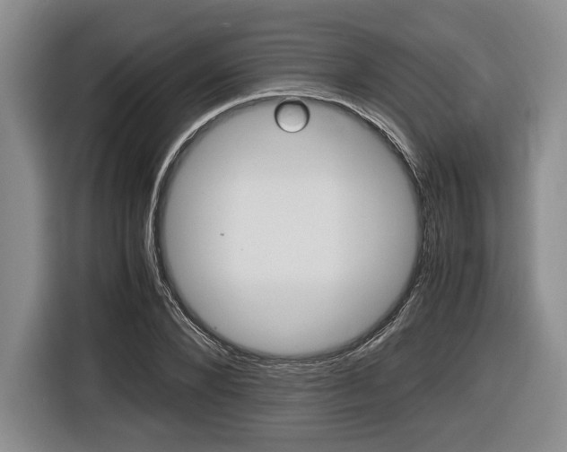 X0000116440880200912081350