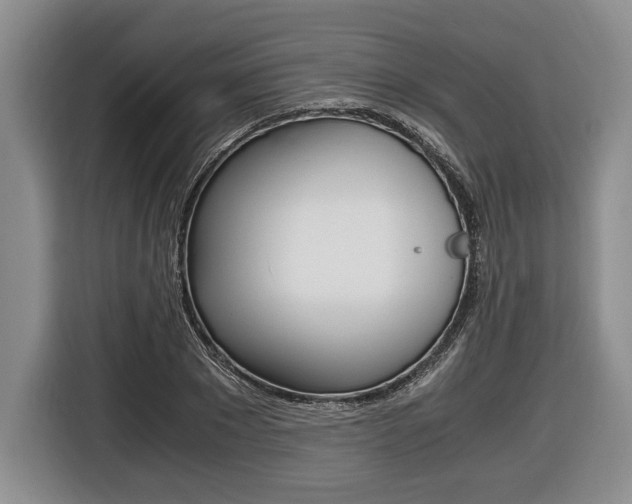 X0000116440881200912081350