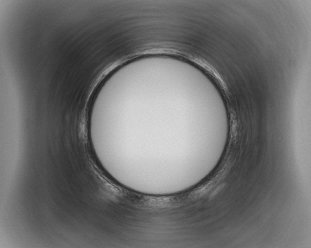 X0000116440882200912081350