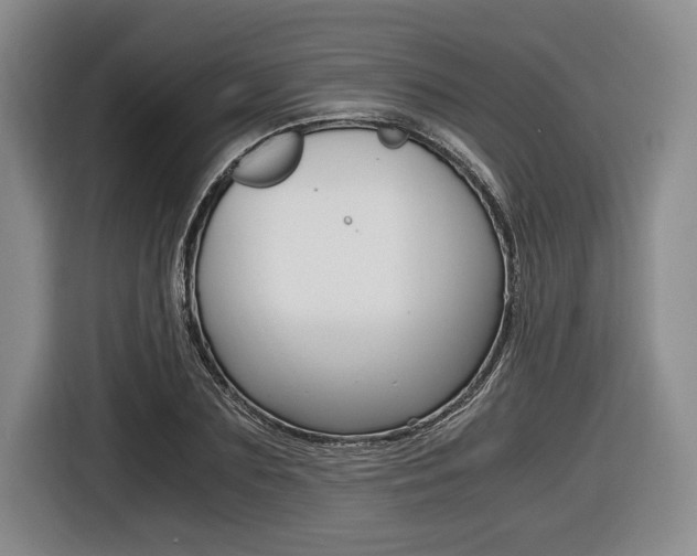 X0000116440883200912081350