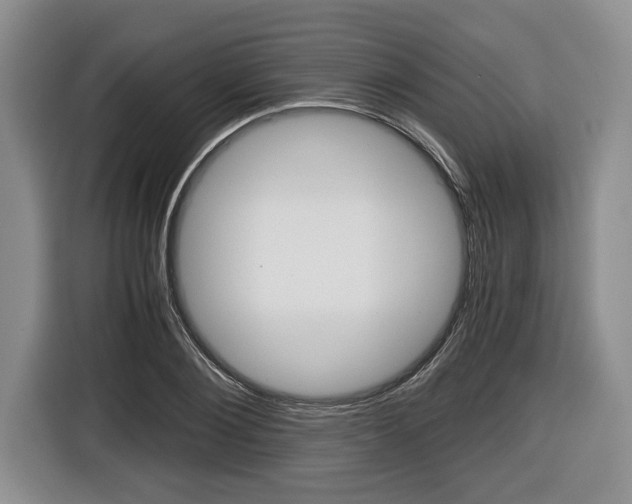 X0000116440884200912081350