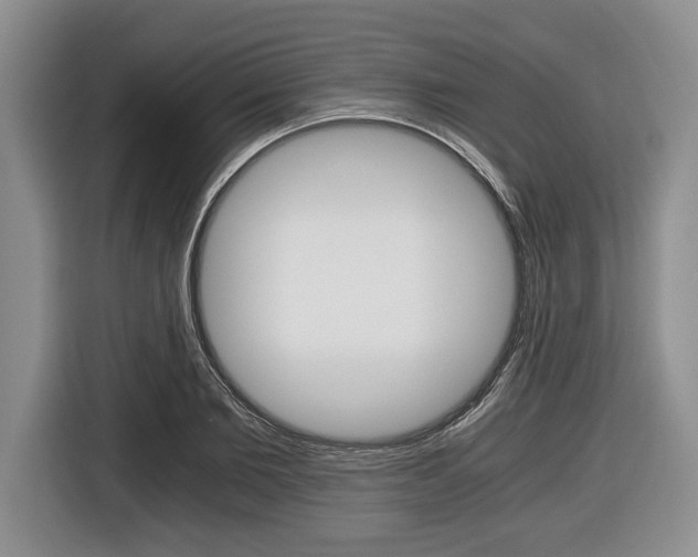 X0000116440885200912081350
