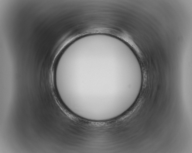 X0000116440886200912081350