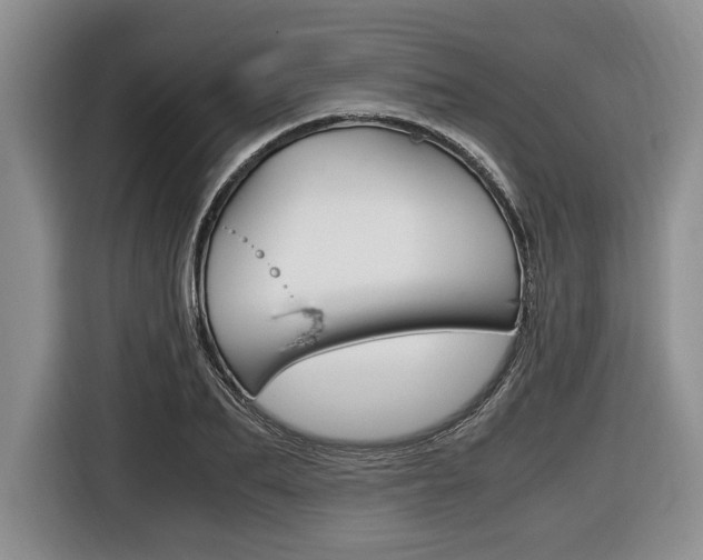 X0000116440887200912081350