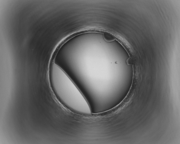 X0000116440888200912081350