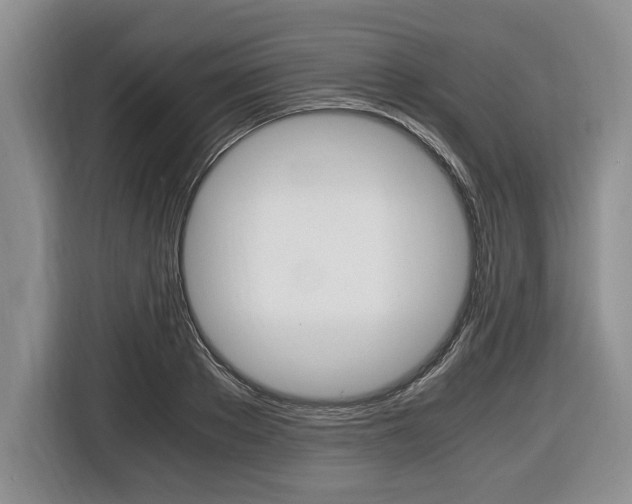 X0000116440889200912081350