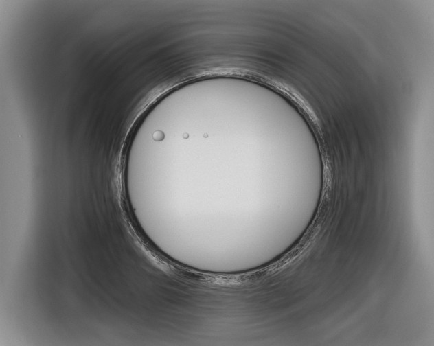 X0000116440890200912081350