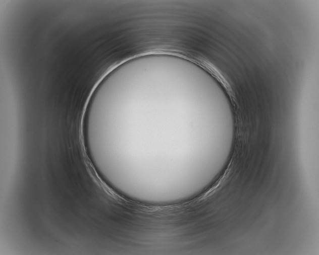 X0000116440892200912081350