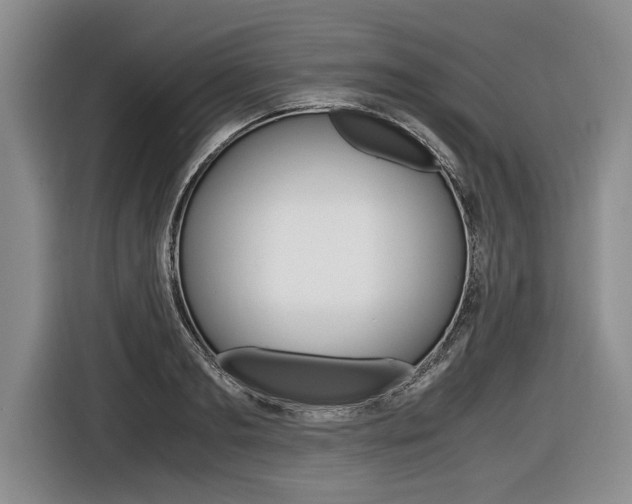 X0000116440893200912081350